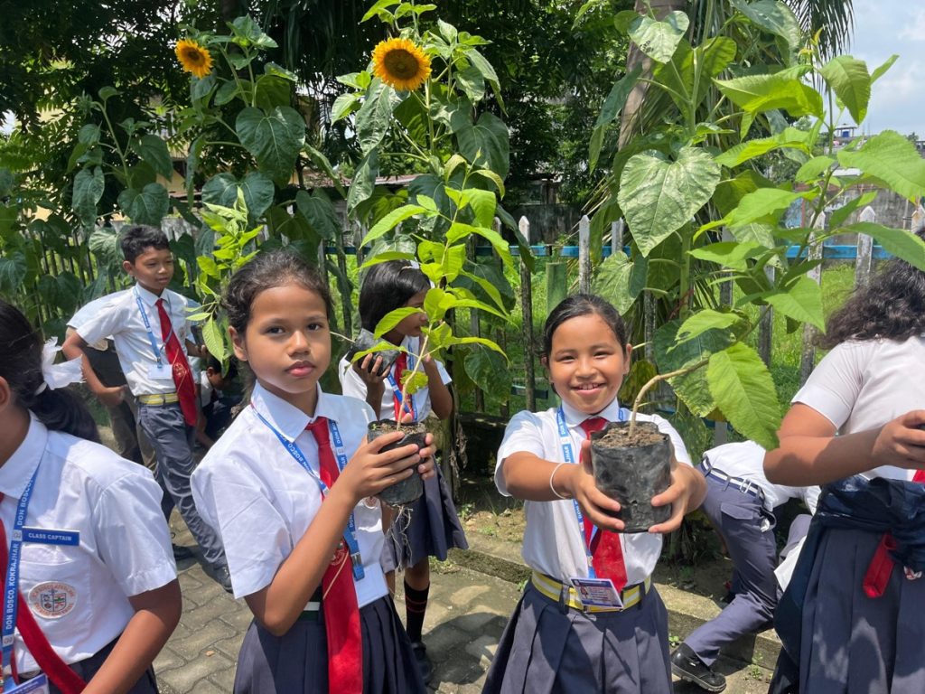 Environment Day at DBS Kokrajhar