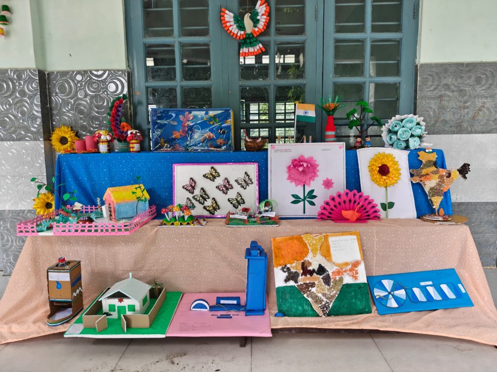 Science Exhibition at SFX Dotma