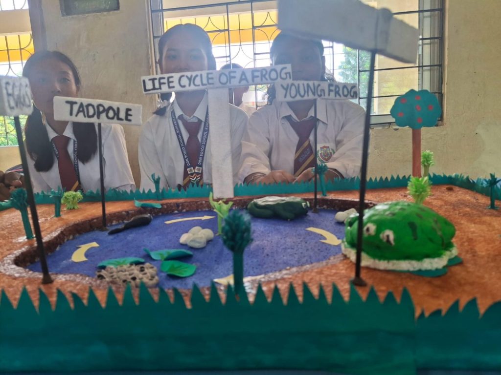 Science Exhibition at Kumarikata