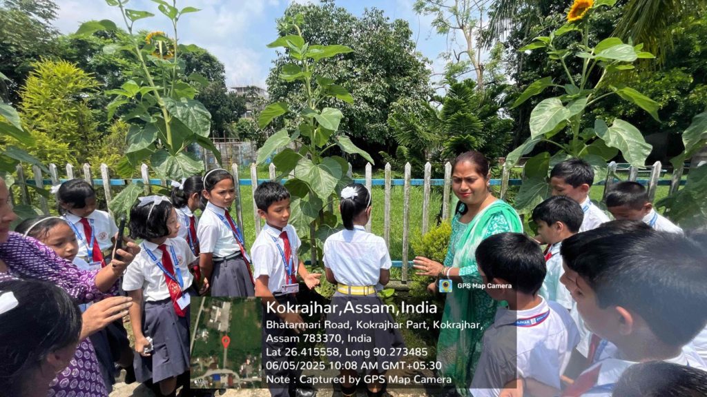Environment Day at DBS Kokrajhar
