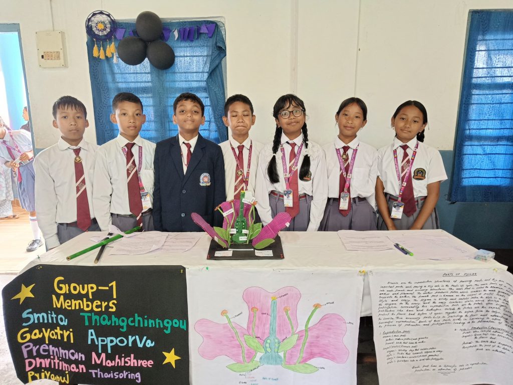 Science Exhibition at DBS Haflong
