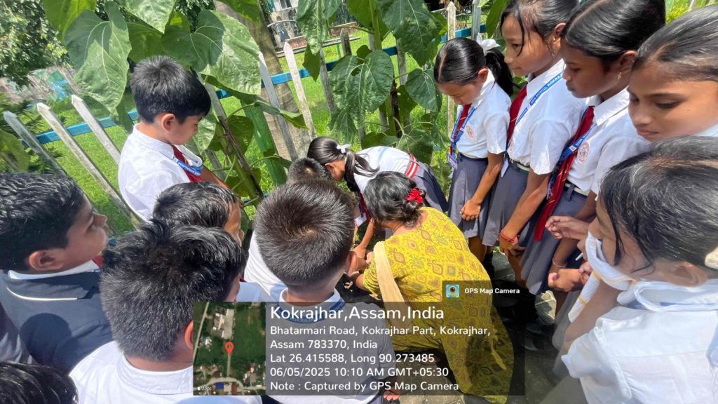Environment Day at DBS Kokrajhar