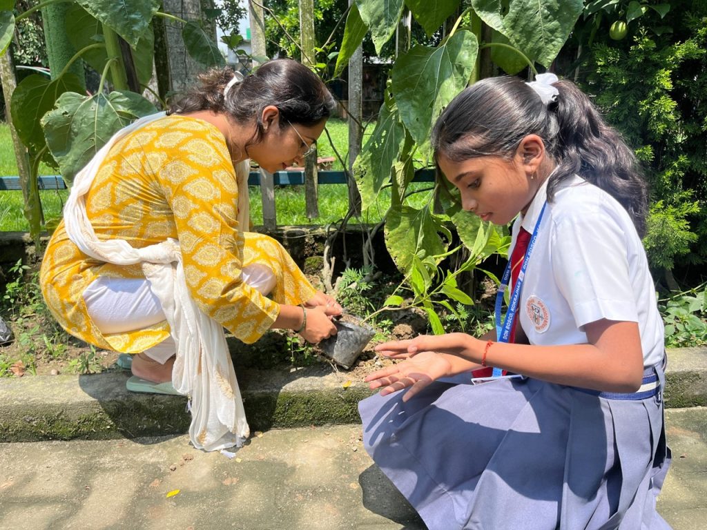 Environment Day at DBS Kokrajhar